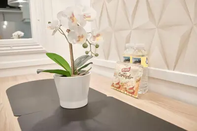 a plant in a white vase sitting on a table at Sea Residences - Classy Unit Near Mall of Asia, Arena, Ayala, Ikea, Okada, SMX, PITX, Airport in Manila