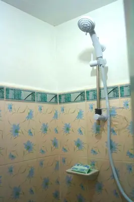a shower in a bathroom with blue flowers on the wall at Madie's Place Guest House in Santa Rosa