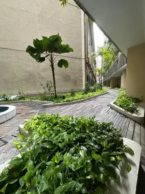 a group of green plants in a courtyard at Cecillian place staycation @ pasay in Manila