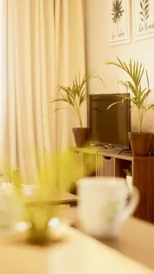 a living room with a table with plants and a television at Manila Airport Staycation near NAIA Terminal 3 in Manila