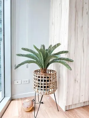 a plant in a rattan chair in a room at Vibrant Oasis with the best view + Fast WiFi in Manila