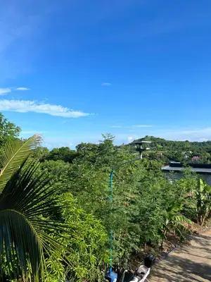 a bird sitting on a pole in the trees at Sky Haven Staycation in Rizal