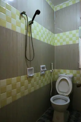 a bathroom with a shower and a toilet at Villa Elsie Resort and Hotel in General Trias