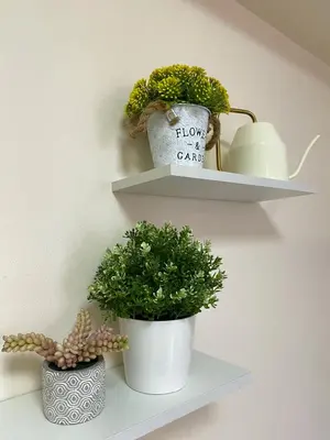 two potted plants on a shelf on a wall at Avida Towers New Manila near Crame, Cubao and Greenhills in Manila