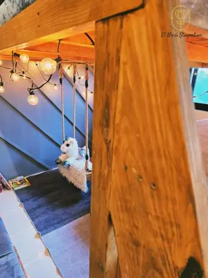 a stuffed animal on a swing in a room at El Nissi Staycation, FAMILY CABIN, CONTEMPORARY CABIN, Enchanted Kingdom in Santa Rosa