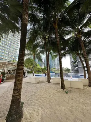 a row of palm trees on a sandy beach at Azure Urban Resort Residences Paranaque 2 Bedroom Unit in Manila