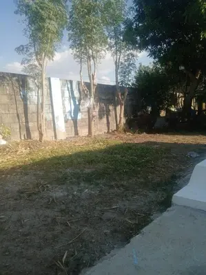 a yard with trees and a field of grass at Matthew's Private Pool by Mia and Miguel's House in General Trias