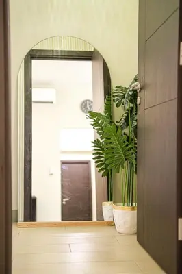 a hallway with a mirror and a potted plant at Premium 3BR Suite UptownBGC w/ Bathtub & Balcony in Manila