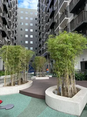 three trees in a courtyard in front of a building at Mall of Asia MOA S Residences , IKEA Pasay , NAIA Airport , Manila Bay in Manila