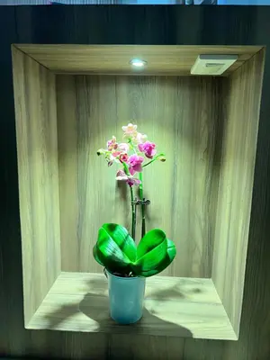 a vase with a plant in a wooden box at 1 Bedroom Penthouse Condo Near Airport NAIA in Manila