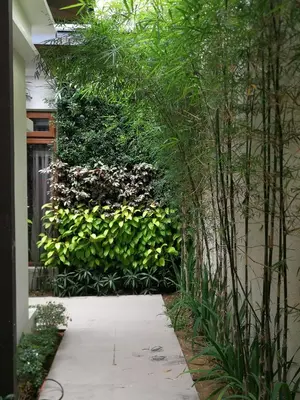 a garden with a wall of plants and a walkway at Adria Residences - Diamond Garden - 2 Bedroom Unit for 4 Person in Manila