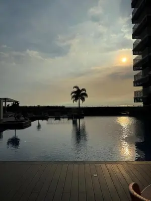 a view of a lake with a palm tree and the sunset at Stylish 1BR Near Airport Facing the Bay - 9d in Manila