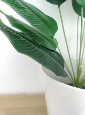 a green plant sitting in a white vase at Oak Apartment at The Rochester Bridgeview Tower in Manila