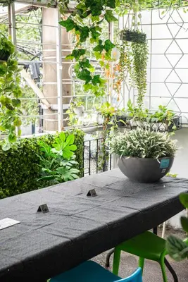 a table with a potted plant on top of it at Homey and Cozey Poblacion Makati S06 in Manila