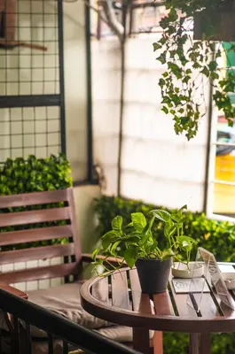 a table with a potted plant on it next to a bench at Homey and Cozey Poblacion Makati S07 in Manila