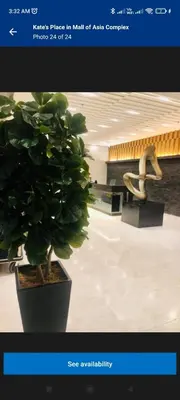 a picture of a potted plant and a sculpture at Kate's Place in Mall of Asia Complex in Manila