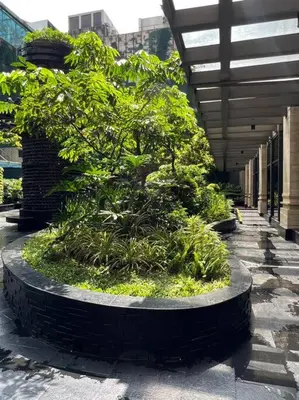 a planter filled with plants in a building at 45F Gramercy Corner Studio Wifi Netflix SmartTV free use Pool Gym in Manila