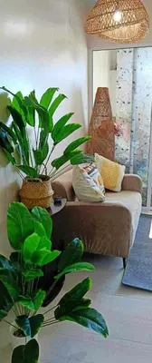 a living room with a couch and a plant at Azure Urban Resort Parañaque Near Airport and SM Mall in Manila