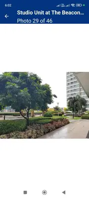 a picture of a tree in front of a building at Sonia Suite at The Beacon Makati in Manila