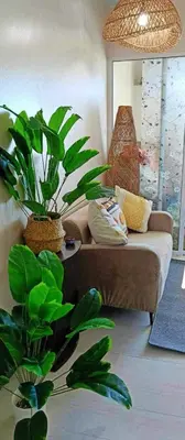 a living room with a couch and a plant at Azure Urban Residences By Lyn 2BR in Manila