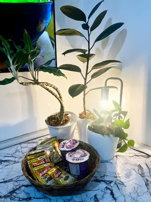 a basket of food and plants on a table at Bali Inspired near BGC and NAIA in Manila