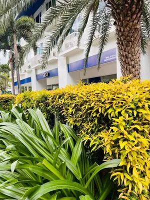 a building with a bunch of bushes and palm trees at Sea Residence MOA - Paul Condotel in Manila