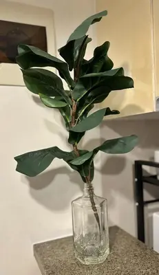 a plant in a glass vase on a table at Studio in Greenbelt with Wifi, Pool and Gym in Manila