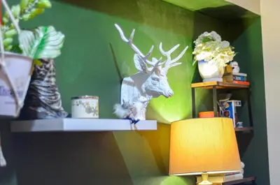 a shelf with a deer head on a green wall at Urban Escape for You & Your Pet in Manila