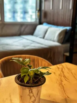 a potted plant sitting on top of a table at Family Suites- Self Service Condo Unit in Jazz Residences Makati in Manila