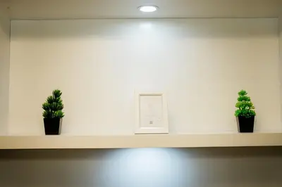 two potted plants on a shelf with a calendar at Premium family Suite near MOA in Manila