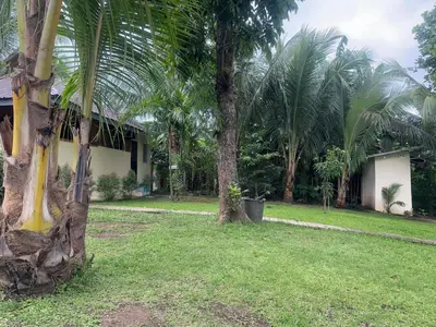 a house with a palm tree next to a yard at Amadeo Verde in Amadeo