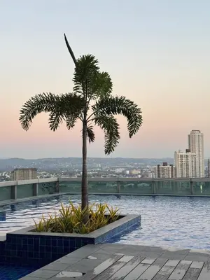 a palm tree on the roof of a building at Elegant 1BR with Great View, Panoramic Pool Near Ortigas CBD - 24 in Manila