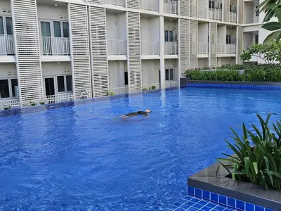 a dog swimming in a swimming pool in front of a building at Condo Suite 1 Bedroom McKinley West Taguig City in Manila