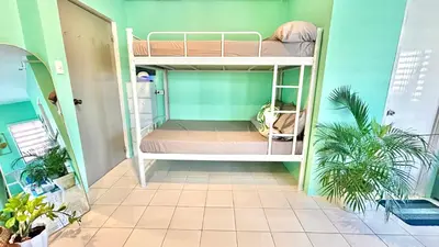 a bedroom with a bunk bed in a room with plants at Enchanted Home - Near Enchanted Kingdom in Santa Rosa