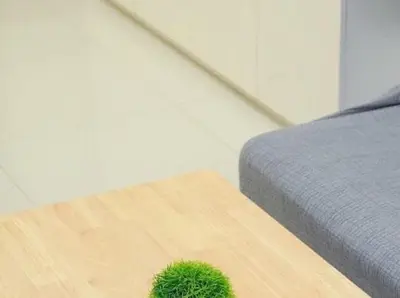 a green plant on a wooden table next to a bed at Awsome Corner Unit at Shore 3 in Manila