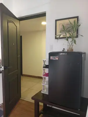 a room with a television and a table with a plant on top at Nikki's cozy home makati in Manila