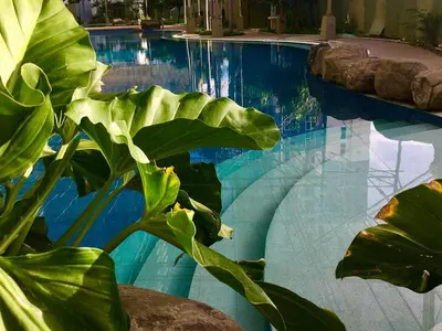 a large swimming pool with a large green plant at Condo Free Pool Fast Wi-fi near BGC, C5 in Manila