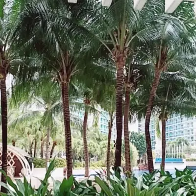 azure beach front view