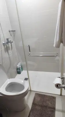 a bathroom with a shower and a toilet and a sink at Casa Antonio at 8L Two Palm Tree Beside NAIA3 in Manila