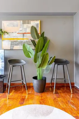a plant in a pot next to two stools at Central Stay w King bed near Greenbelt 55-In TV in Manila