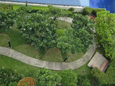an overhead view of a garden with trees and a walkway at B&C studio in Manila