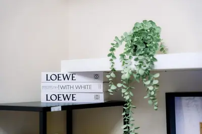 a stack of white boxes on a table with a plant at Cozy 1BR Condo in McKinley West in Manila