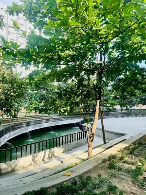 a tree next to a river with a fence at Zen Vibes Modern 2BR Asian Fusion Stay in Manila