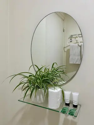 a mirror on a shelf with a plant on it at NIJECRIFIL Condotel in Manila