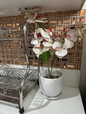 a white vase with a plant on a table at Makati Stay Ph in Manila