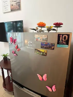 a refrigerator with butterflies on the top of it at Marvinn's by LVH - 150 Newport Boulevard in Manila
