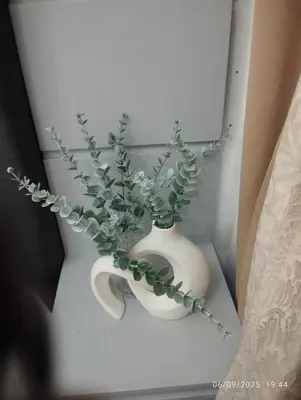 a white vase with a green plant in it at HAPpycation Portocondo in Manila