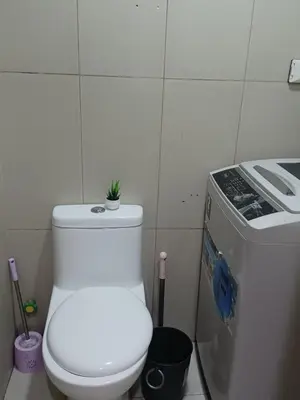 a toilet with a plant on top of it in a bathroom at Pasay Staycation manila bay view in Manila