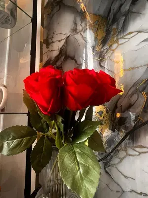 two red roses in a vase on a wall at Zhafira Retreat in Manila