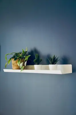 three plants sitting on a shelf on a wall at Bright & Cozy Condo Near Okada 2 mins walk in Manila